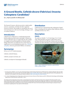 A Ground Beetle, Calleida Decora (Fabricius) (Insecta: Coleoptera: Carabidae)1 D