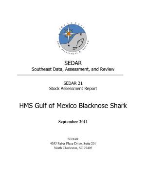 HMS Gulf of Mexico Blacknose Shark