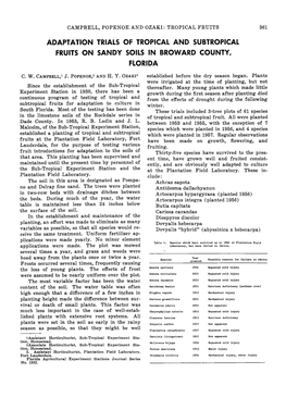 Adaptation Trials of Tropical and Subtropical Fruits on Sandy Soils in Broward County, Florida