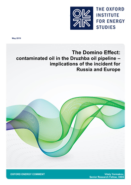 The Domino Effect: Contaminated Oil in the Druzhba Oil Pipeline – Implications of the Incident for Russia and Europe