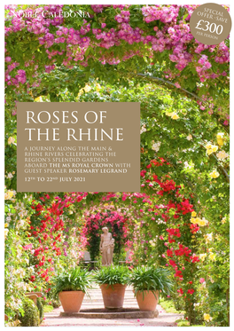 ROSES of the Rhine