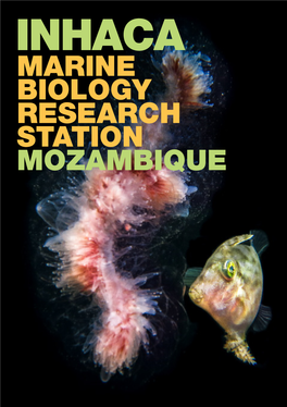 MARINE BIOLOGY RESEARCH STATION MOZAMBIQUE UNIVERSITY EDUARDO MONDLANE Faculty of Sciences