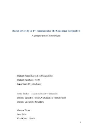 Racial Diversity in TV Commercials: the Consumer Perspective a Comparison of Perceptions