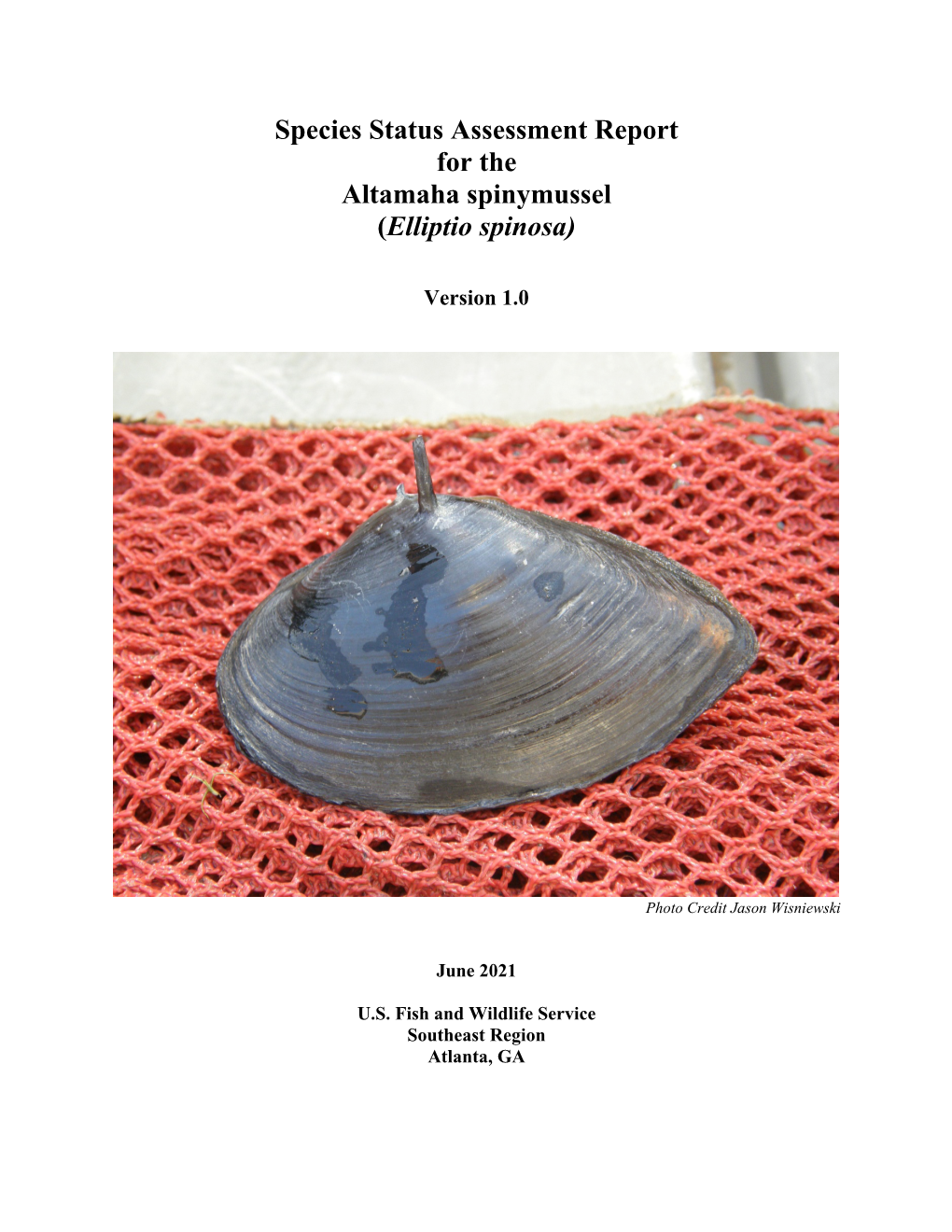 Species Status Assessment Report for the Altamaha Spinymussel (Elliptio Spinosa)