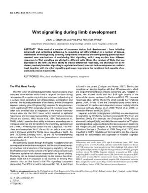 Wnt Signalling During Limb Development