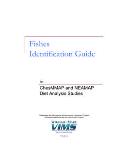 Fishes Identification Guide