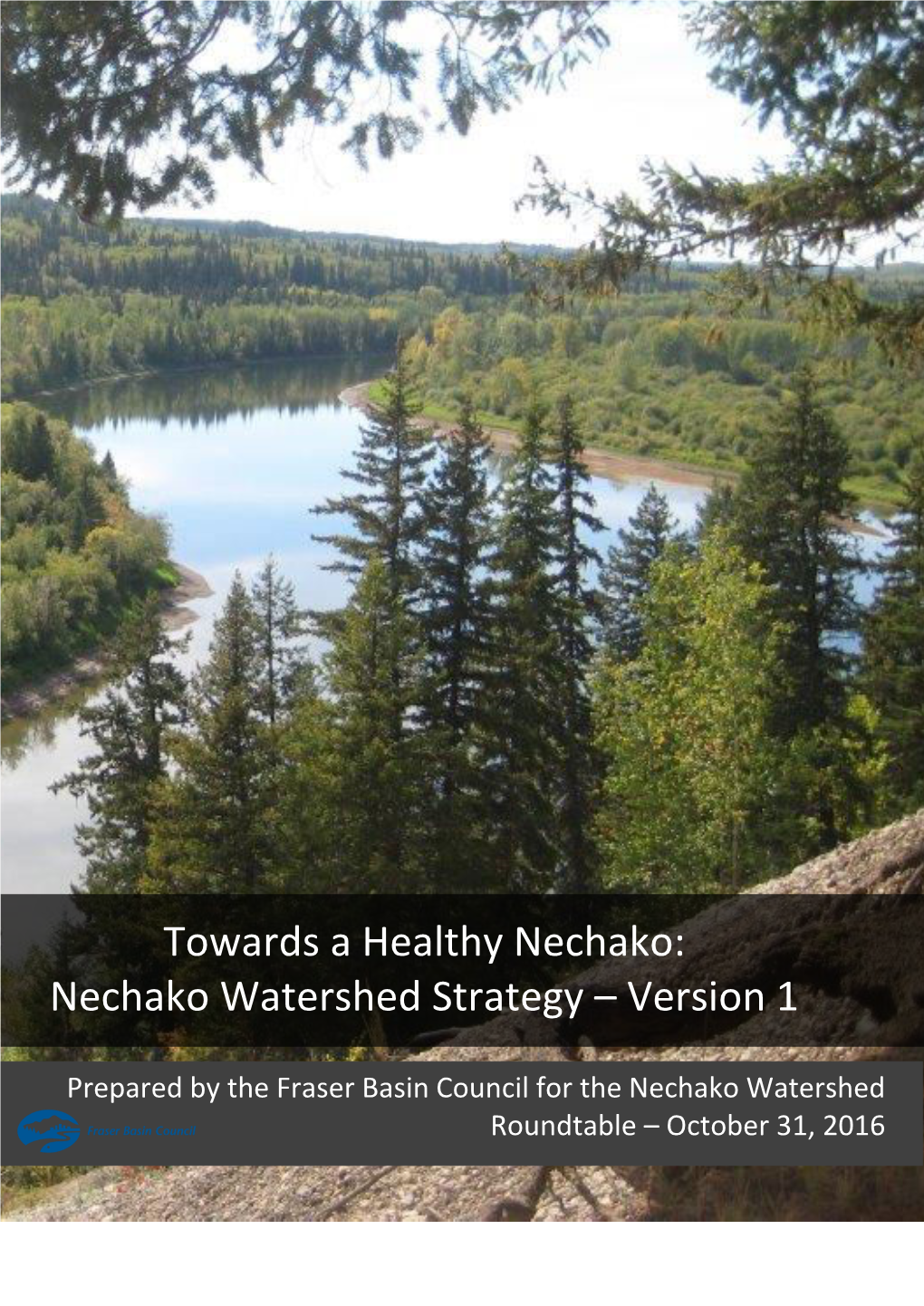 Nechako Watershed Strategy – Version 1