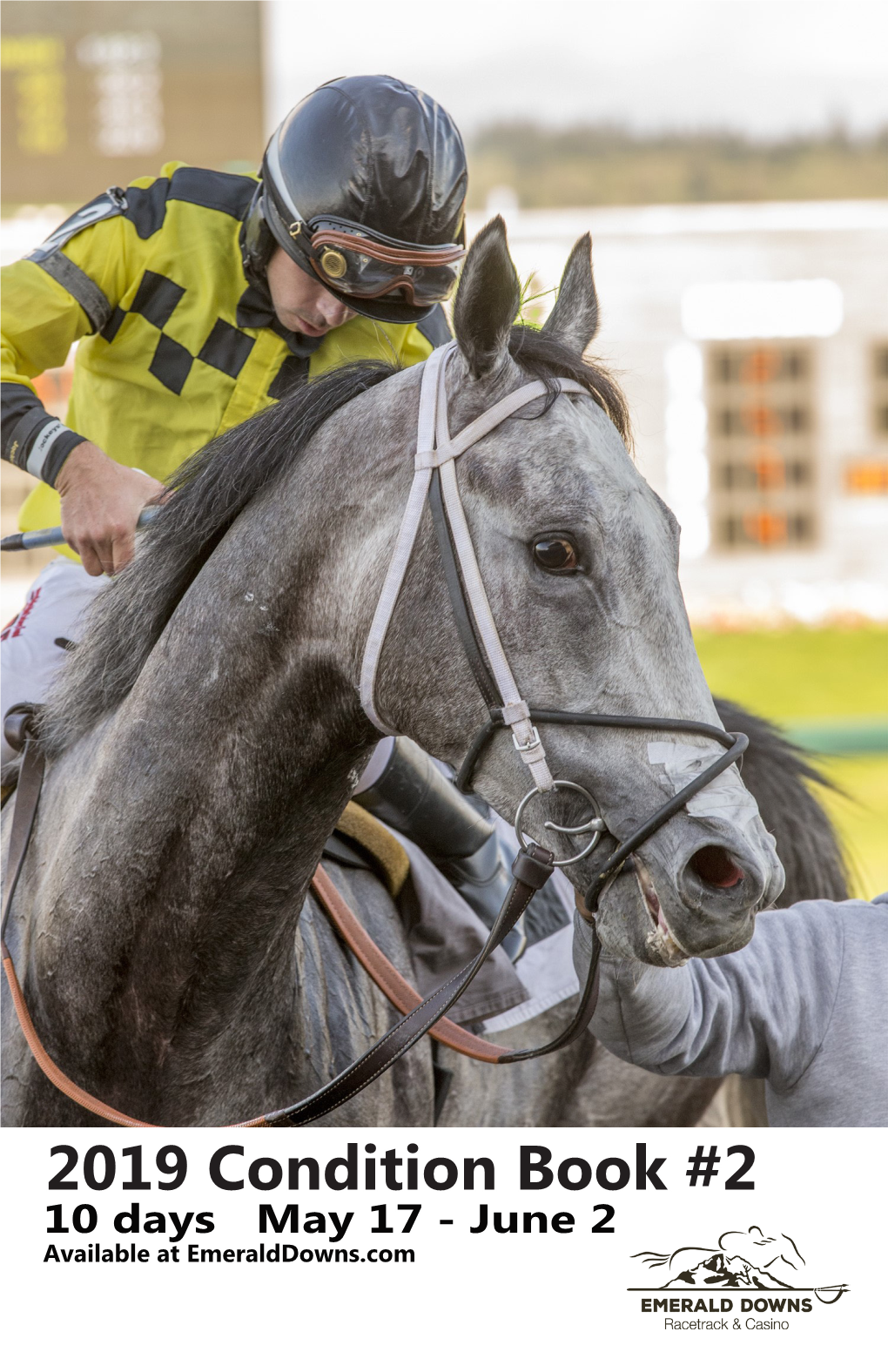 2019 Condition Book #2 10 Days May 17 - June 2 Available at Emeralddowns.Com #1 in SAME DAY SERVICE