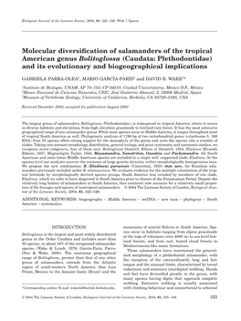 Molecular Diversification of Salamanders of The