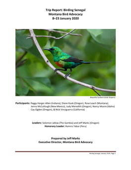Trip Report: Birding Senegal Montana Bird Advocacy 8–23 January 2020