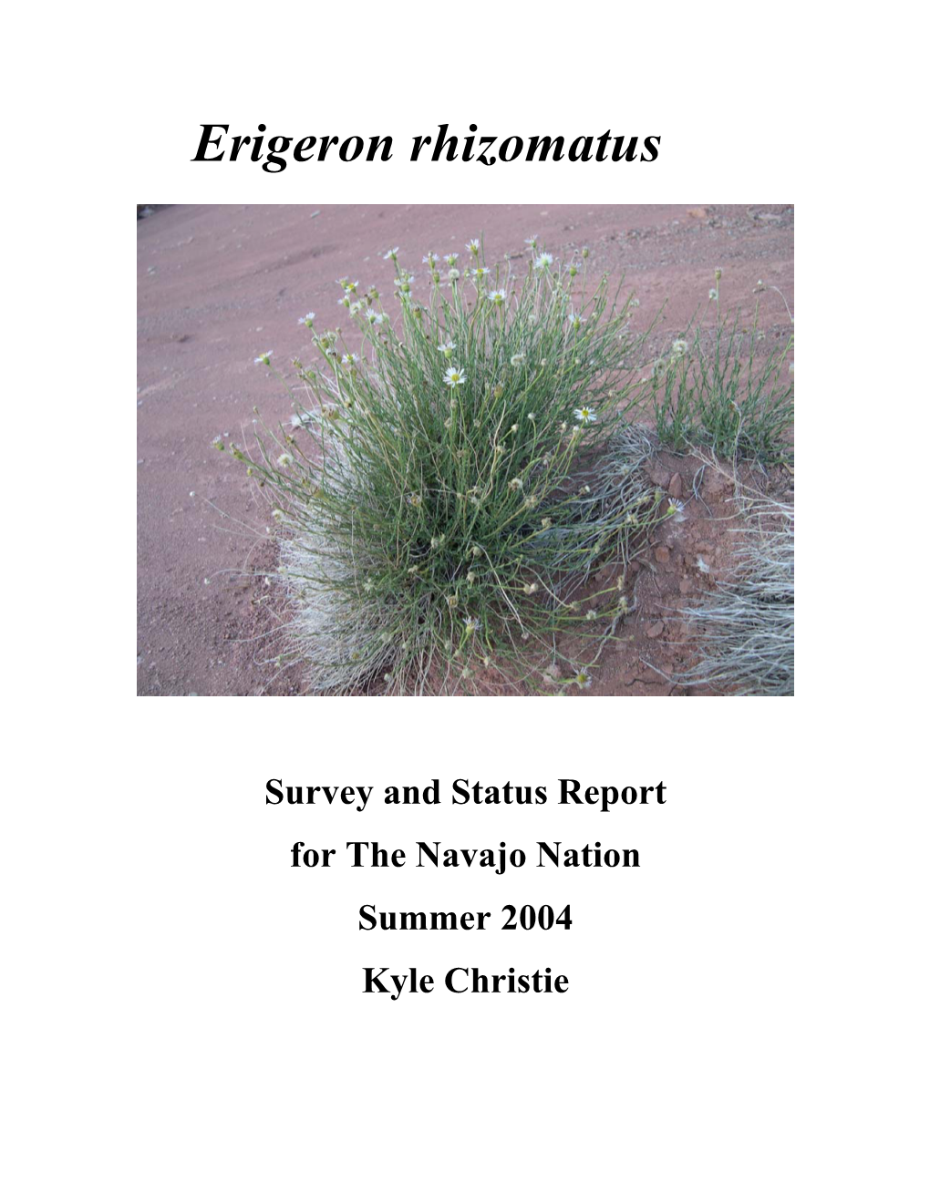 Erigeron Rhizomatus Survey and Status Report