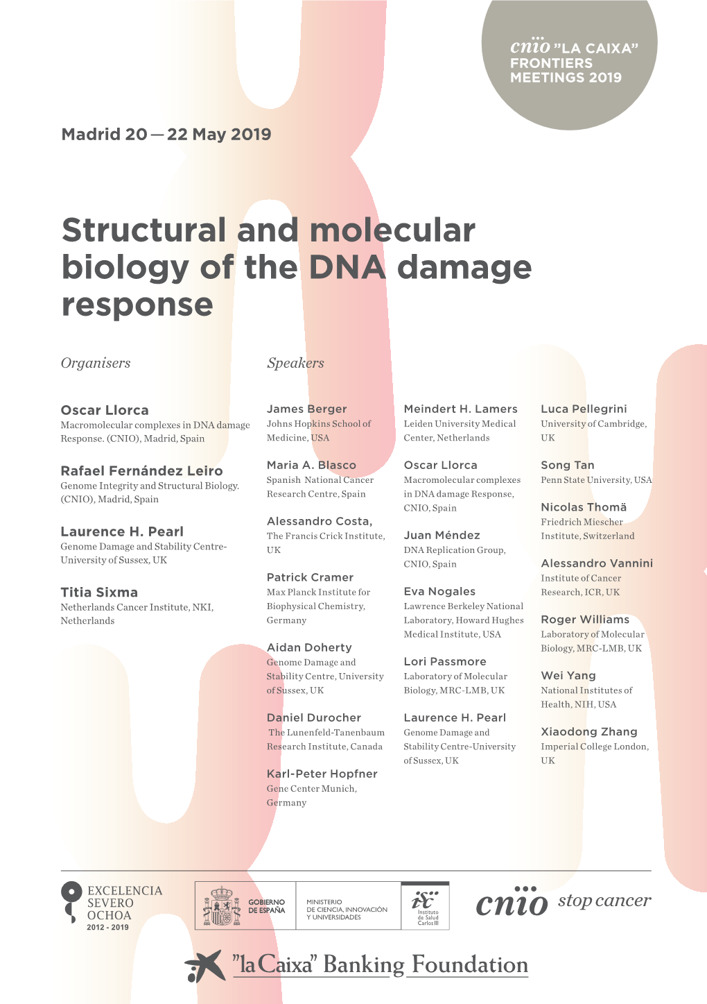 Structural and Molecular Biology of the DNA Damage Response