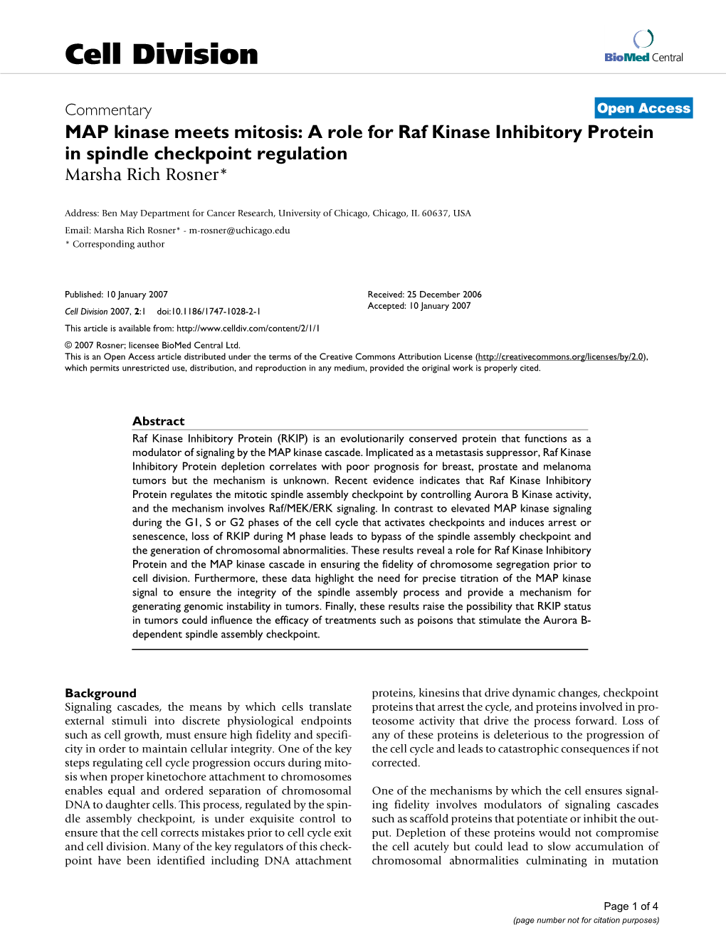 A Role for Raf Kinase Inhibitory Protein in Spindle Checkpoint Regulation Marsha Rich Rosner*