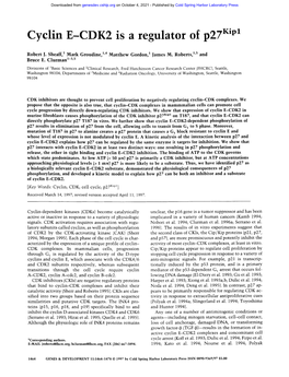 Cyclin E-CDK2 Is a Regulator of P27 Kip1