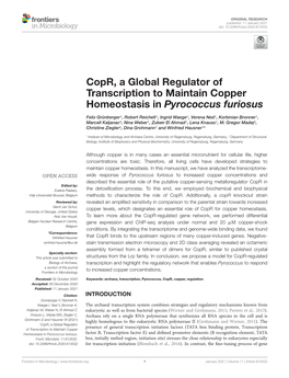 Copr, a Global Regulator of Transcription to Maintain Copper Homeostasis in Pyrococcus Furiosus