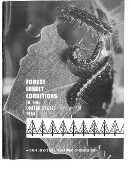 Forest Insect Conditions in the United States 1964