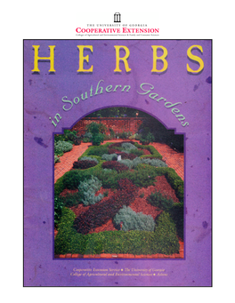 Herbs in Southern Gardens