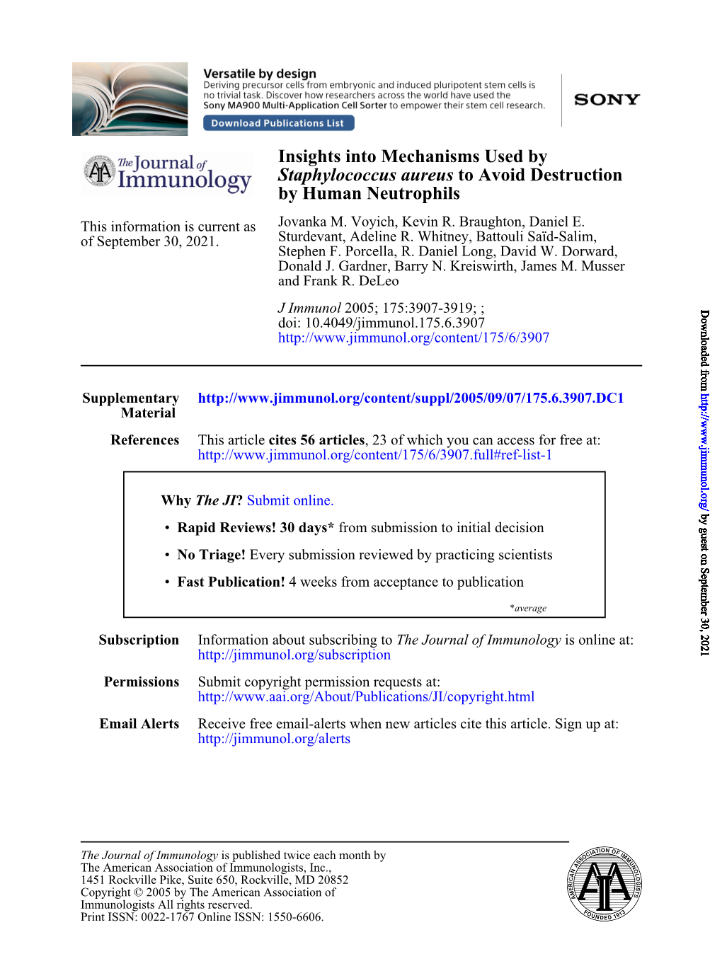 By Human Neutrophils to Avoid Destruction Staphylococcus Aureus