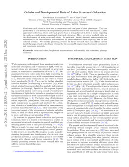 Arxiv:2012.10338V2 [Cond-Mat.Soft] 28 Dec 2020 This Is in Part, Because Most Model Species Lack Struc- Producing Dermal Collagen Arrays Remains Unstudied