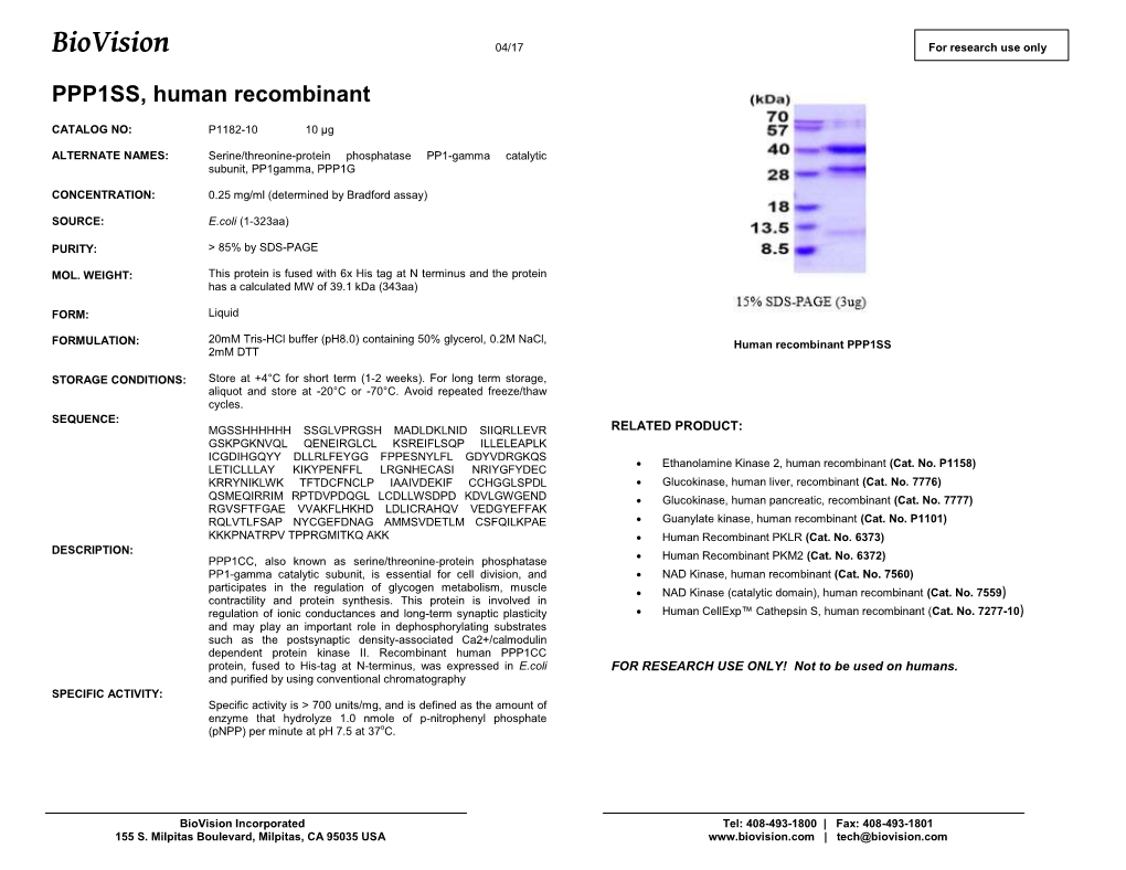 P1182-PPP1SS, R Hu