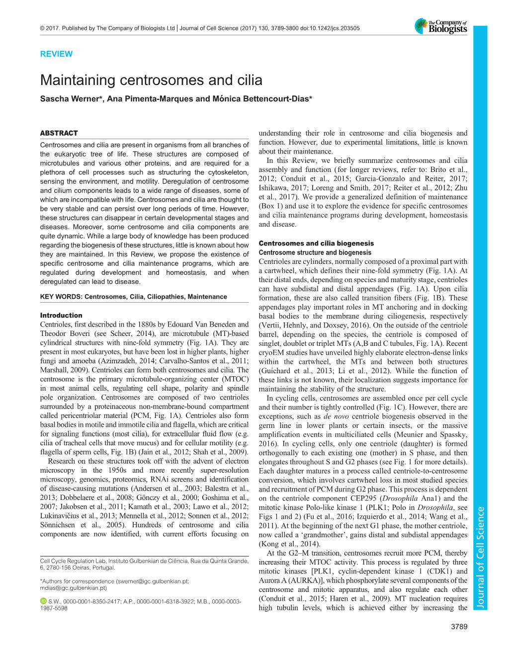 Maintaining Centrosomes and Cilia Sascha Werner*, Ana Pimenta-Marques and Mónica Bettencourt-Dias*