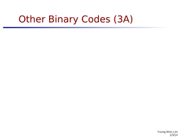 Other Binary Codes (3A)