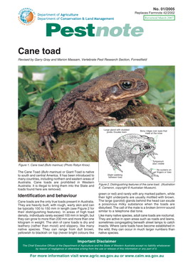 Detailed Cane Toad and Native Frogs