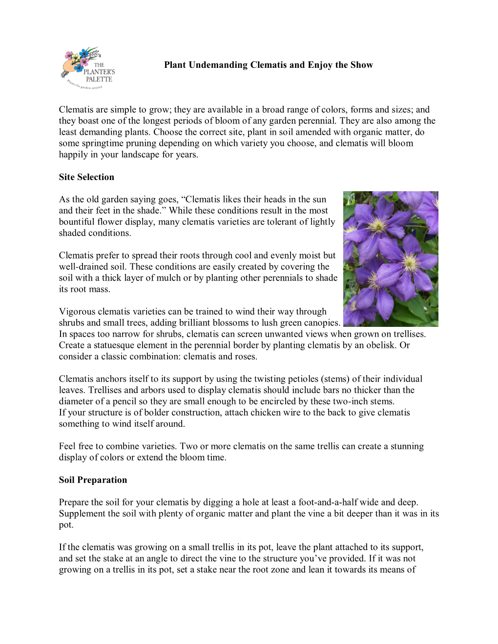 Plant Undemanding Clematis and Enjoy the Show Clematis Are