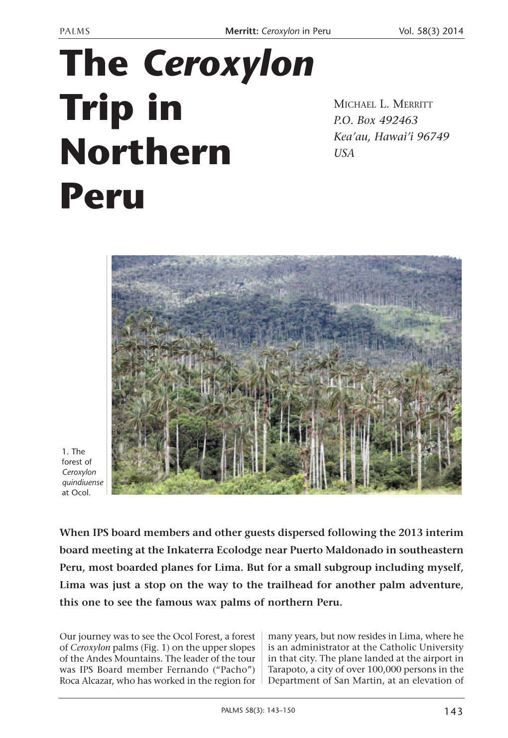 The Ceroxylon Trip in Northern Peru