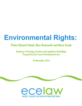 Environmental Rights Strategy Sessions Report