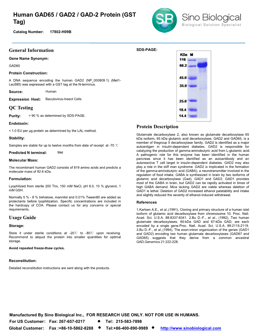 Human GAD65 / GAD2 / GAD-2 Protein (GST Tag)