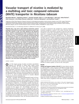 Vacuolar Transport of Nicotine Is Mediated by a Multidrug and Toxic Compound Extrusion (MATE) Transporter in Nicotiana Tabacum