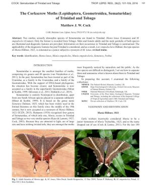 The Corkscrew Moths (Lepidoptera, Geometroidea, Sematuridae) of Trinidad and Tobago