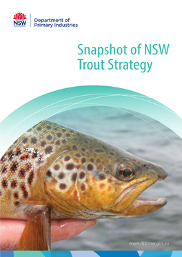Snapshot of NSW Trout Strategy