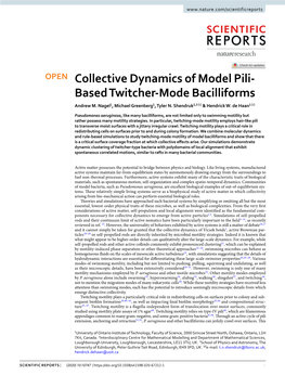 Collective Dynamics of Model Pili-Based Twitcher-Mode Bacilliforms