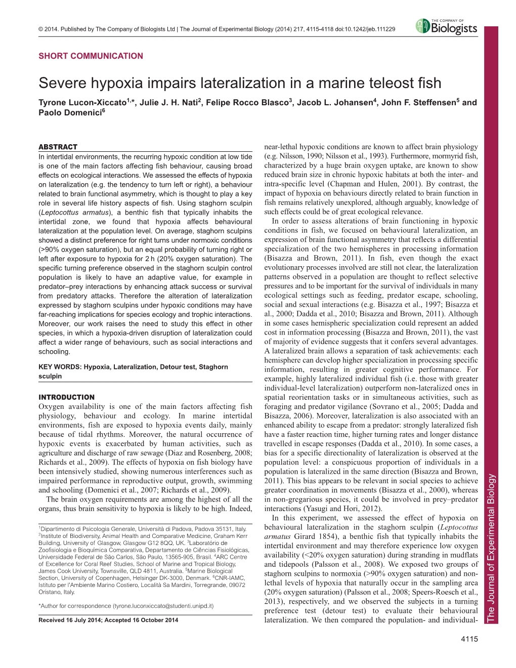 Severe Hypoxia Impairs Lateralization in a Marine Teleost Fish