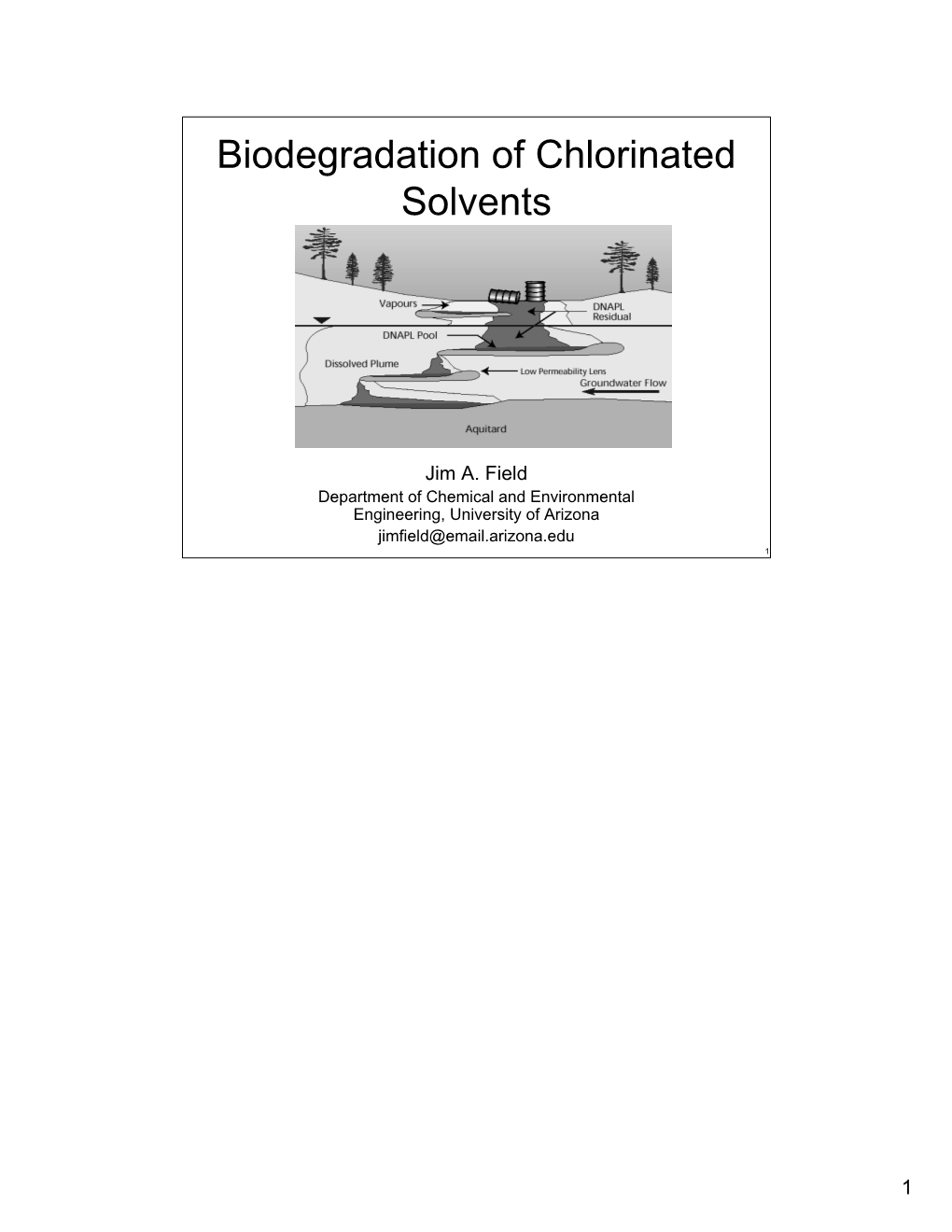 Biodegradation of Chlorinated Solvents Biodegradation Of