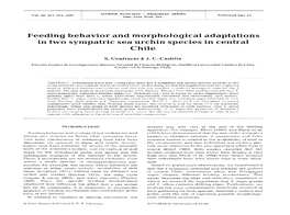 Feeding Behavior and Morphological Adaptations in Two Sympatric Sea Urchin Species in Central Chile