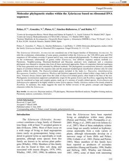 Molecular Phylogenetic Studies Within the Xylariaceae Based on Ribosomal DNA Sequences