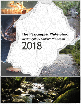 The Passumpsic Watershed Water Quality Assessment Report 2018