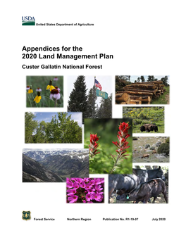 Appendices for the 2020 Land Management Plan, Custer Gallatin National Forest I Contents