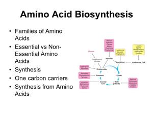 Amino Acid Biosynthesis