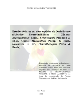 Estudos Foliares Em Doze Espécies De Orchidaceae (Subtribo Pleurothallidinae – Gêneros Brachionidium Lindl., Echinosepala Pridgeon & M.W