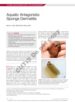 Aquatic Antagonists: Sponge Dermatitis