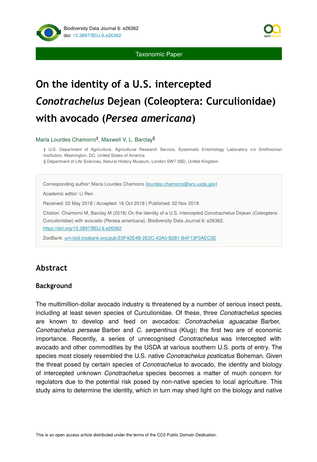 On the Identity of a US Intercepted Conotrachelus