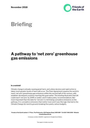 A Pathway to Net Zero Greenhouse Gas Emissions
