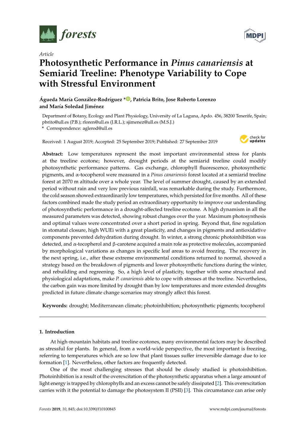 Photosynthetic Performance in Pinus Canariensis at Semiarid Treeline: Phenotype Variability to Cope with Stressful Environment