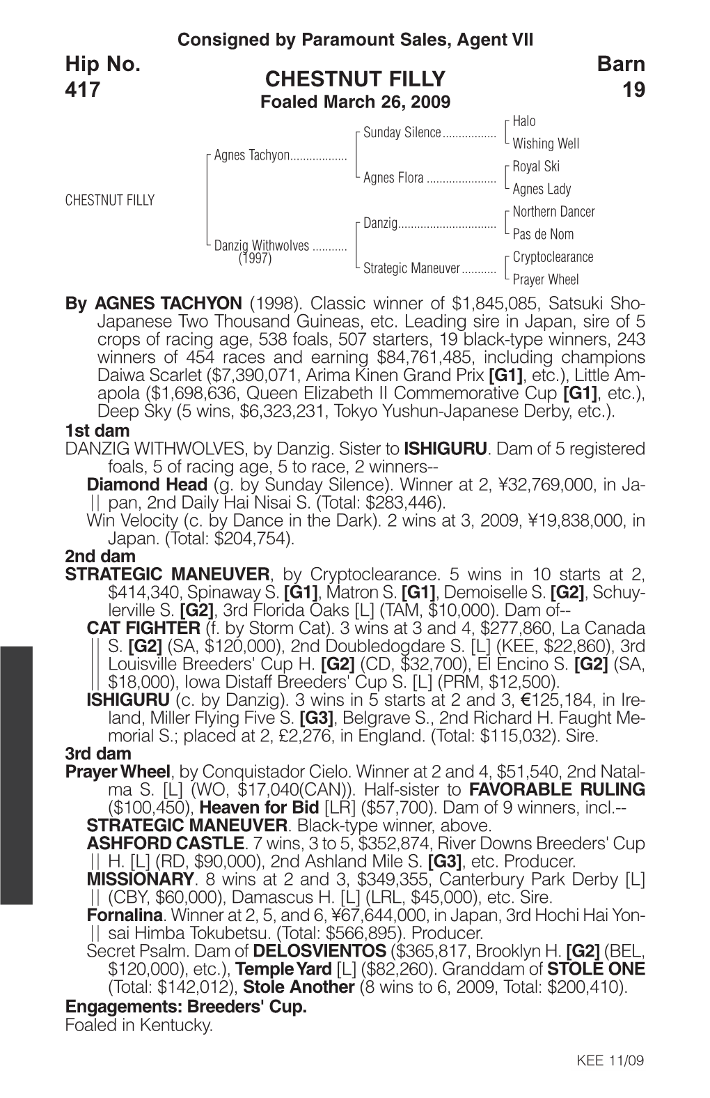 CHESTNUT FILLY Barn 19 Hip No