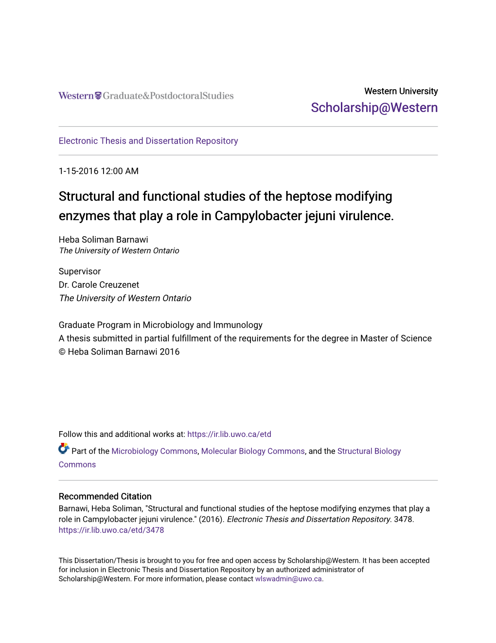 Structural and Functional Studies of the Heptose Modifying Enzymes That Play a Role in Campylobacter Jejuni Virulence