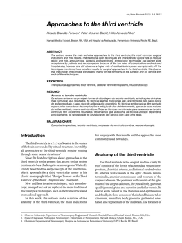 Approaches to the Third Ventricle